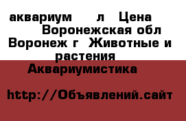  аквариум 200 л › Цена ­ 15 000 - Воронежская обл., Воронеж г. Животные и растения » Аквариумистика   